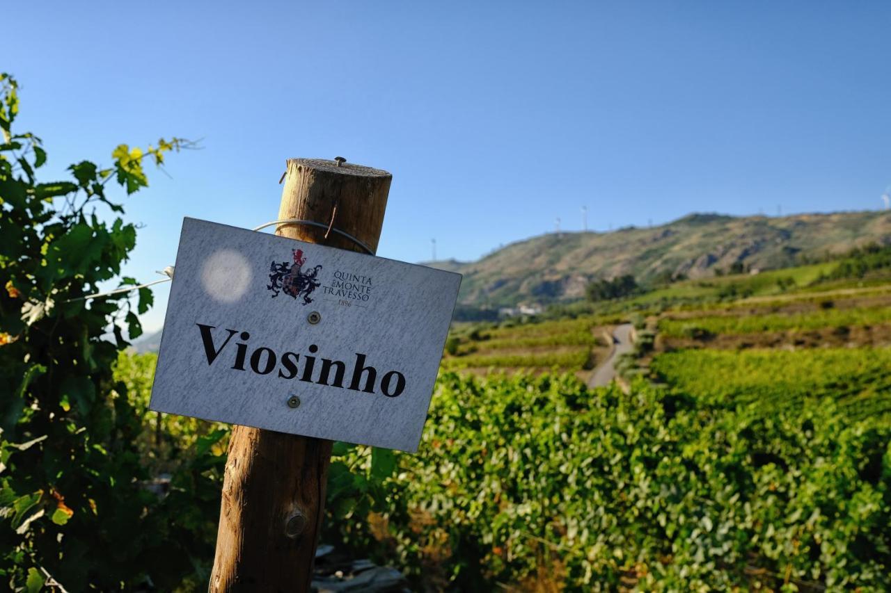 Quinta Do Monte Travesso - Country Houses & Winery Tabuaco Exterior photo