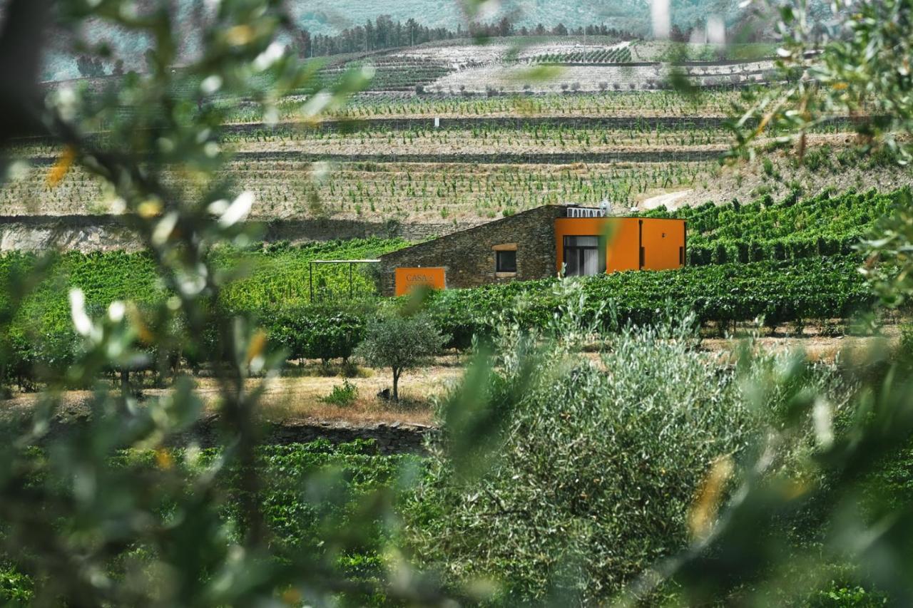 Quinta Do Monte Travesso - Country Houses & Winery Tabuaco Exterior photo